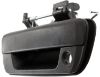 Picture of Tailgate Handle