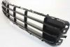 Picture of Bumper Grille