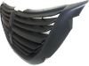 Picture of Grille Assembly