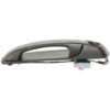 Picture of Exterior Door Handle