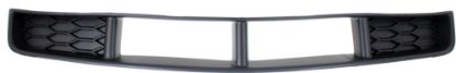 Picture of Bumper Grille