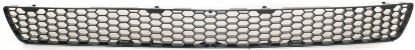 Picture of Bumper Grille