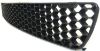 Picture of Bumper Grille