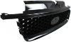 Picture of Grille Assembly