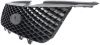 Picture of Grille Assembly