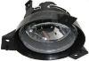 Picture of Fog Light