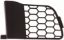 Picture of Bumper Grille