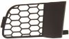 Picture of Bumper Grille