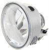 Picture of Fog Light