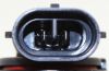 Picture of Fog Light