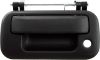 Picture of Tailgate Handle