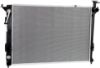 Picture of Radiator