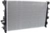 Picture of Radiator