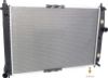 Picture of Radiator