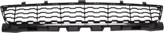 Picture of Bumper Grille
