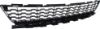 Picture of Bumper Grille