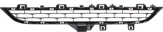 Picture of Bumper Grille
