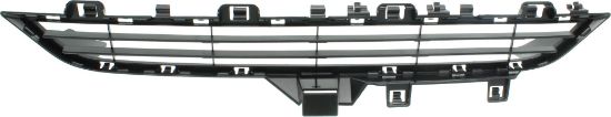 Picture of Bumper Grille