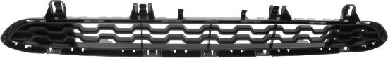 Picture of Bumper Grille