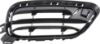 Picture of Bumper Grille