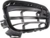 Picture of Bumper Grille