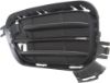 Picture of Bumper Grille