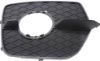 Picture of Fog Light Trim