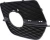 Picture of Fog Light Trim