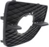 Picture of Fog Light Trim