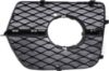 Picture of Fog Light Trim