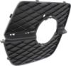 Picture of Fog Light Trim