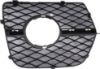Picture of Fog Light Trim