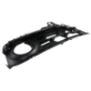 Picture of Fog Light Trim