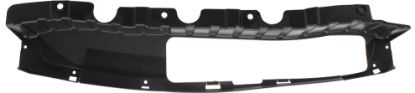 Picture of Bumper Trim