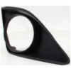 Picture of Fog Light Trim