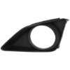 Picture of Fog Light Trim
