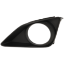 Picture of Fog Light Trim