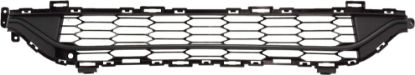 Picture of Bumper Grille
