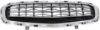 Picture of Bumper Grille