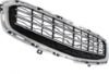 Picture of Bumper Grille
