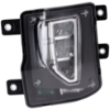 Picture of Fog Light