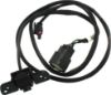 Picture of Back Up Camera
