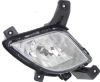 Picture of Fog Light