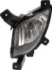 Picture of Fog Light