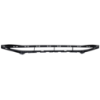 Picture of Bumper Grille