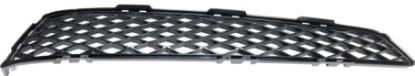 Picture of Bumper Grille