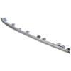 Picture of Bumper Trim