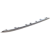 Picture of Bumper Trim