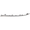 Picture of Bumper Trim