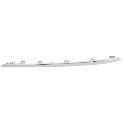 Picture of Bumper Trim